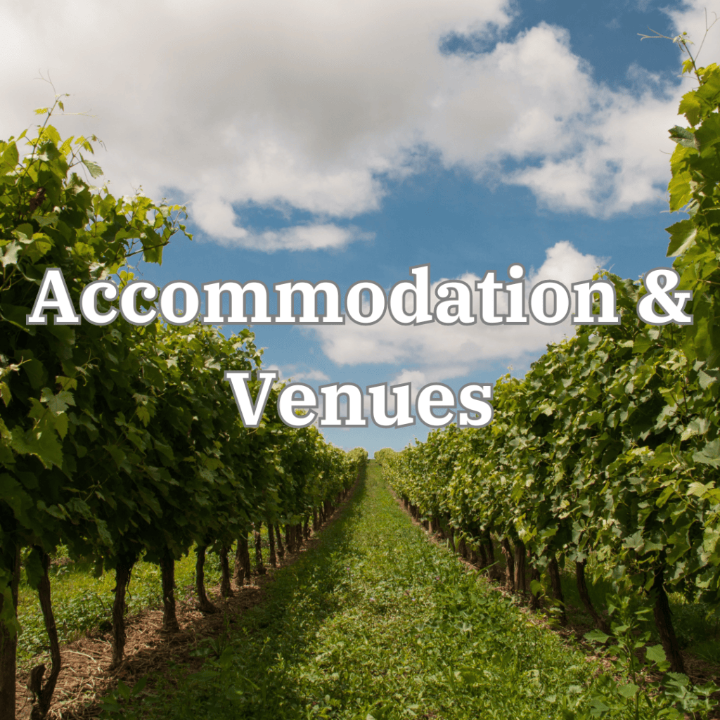 7 Vineyards near Rye, Sussex to visit this summer – English Wine Guide