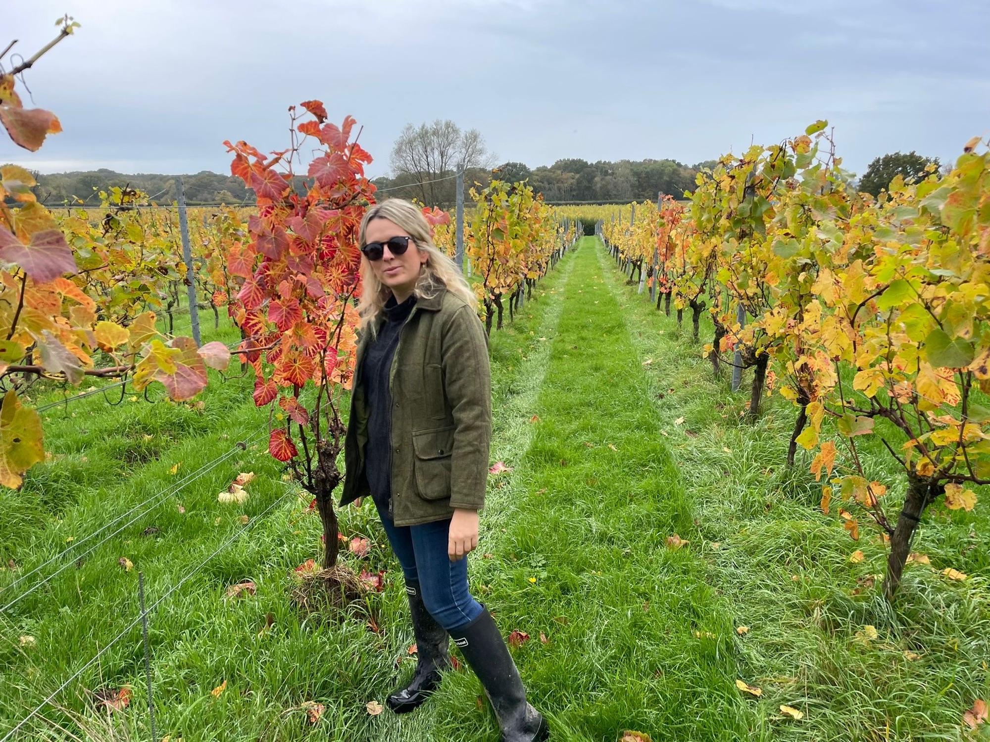 Oxney Organic Estate: An autumn tour, tasting & picnic