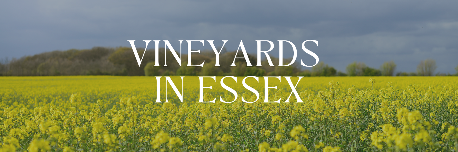 10 best vineyards in Essex to visit