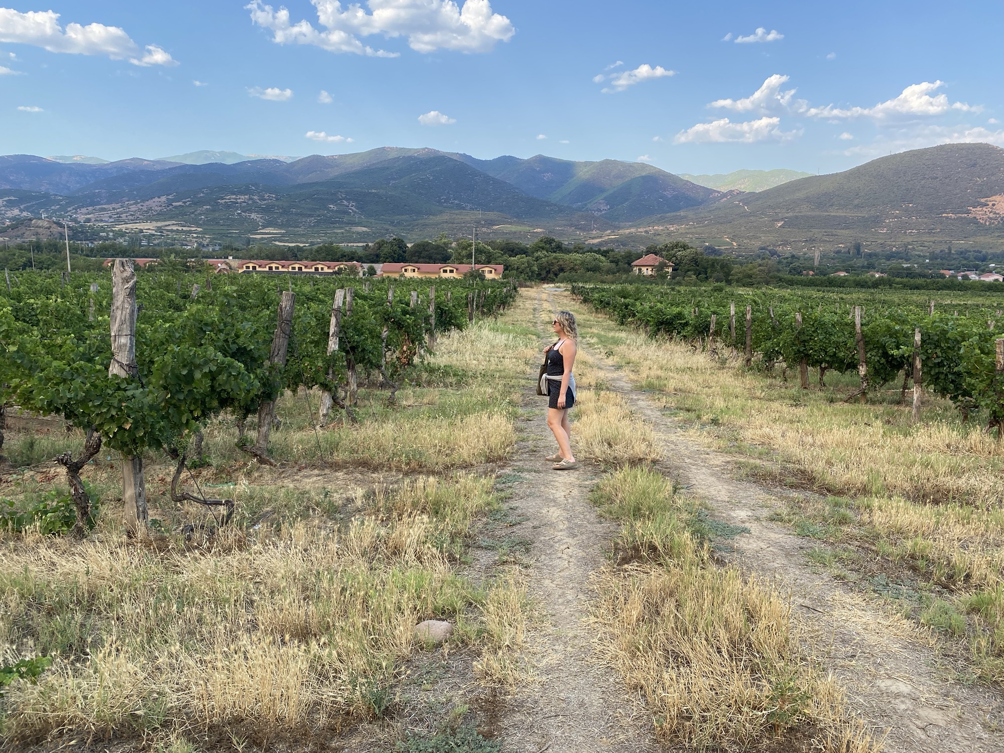 North Macedonia Wine: A short guide