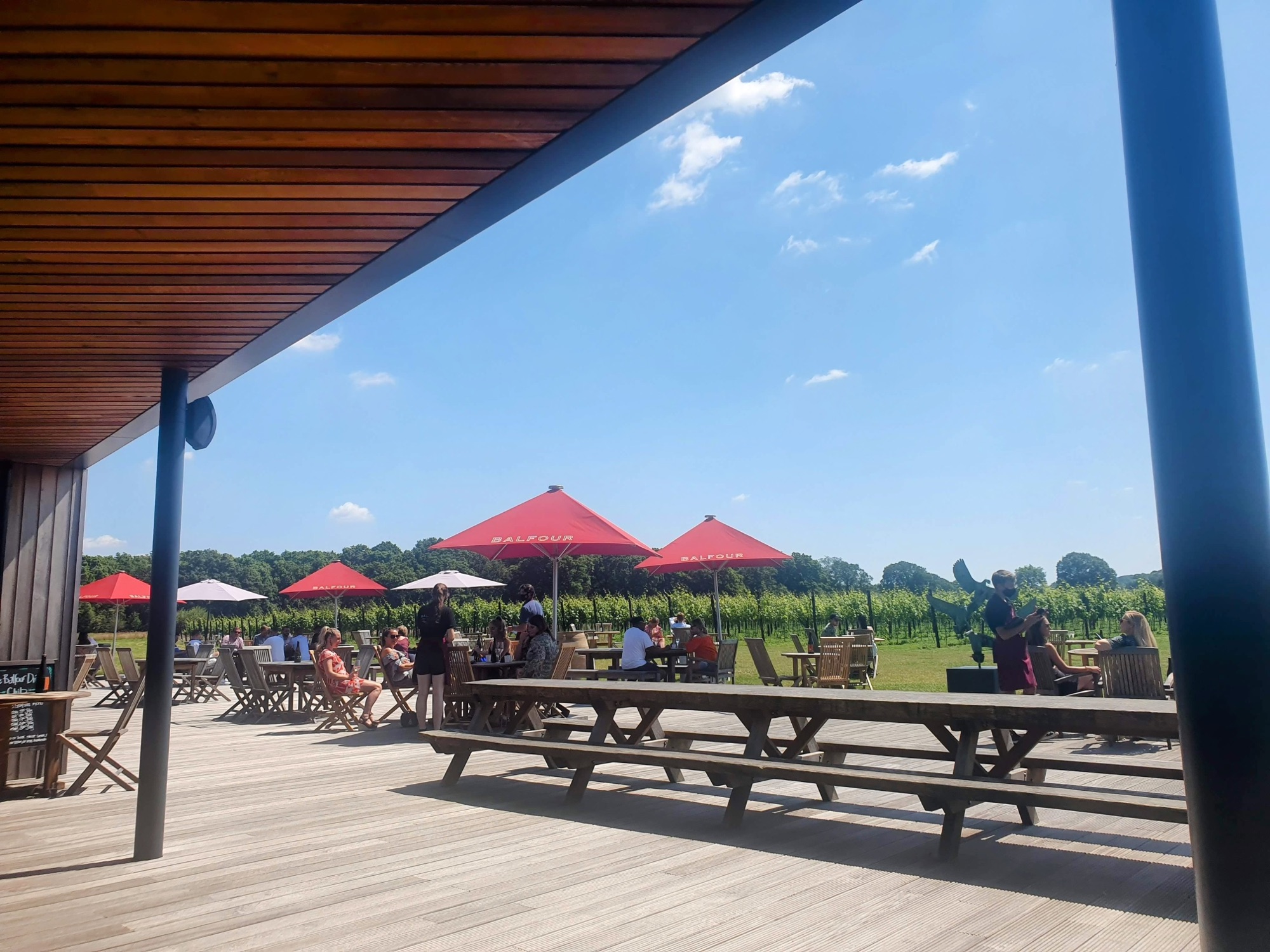 Balfour Winery: Is it really England’s best vineyard to visit?